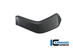 Накладка радиатора ILMBERGER CARBON WKL.104.XD16M.K
