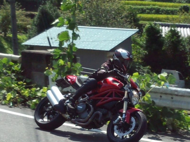 Слайдеры рамы Aella для мотоцикла Ducati Monster 696 / 796 / 1100 /S / 1100 EVO